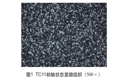 TC11初始狀態顯微組織（500×）