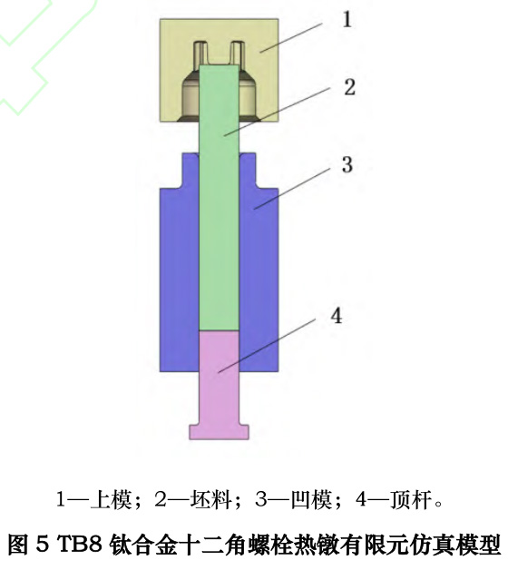 t5.jpg